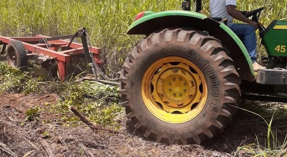 Snapinsta.app_1080_165076931_260193295579941_6573550493981395565_n