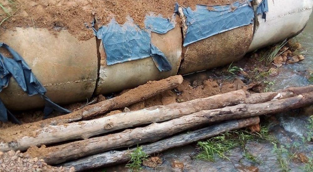 Snapinsta.app_1080_166133541_908411453034961_8222512966884977347_n