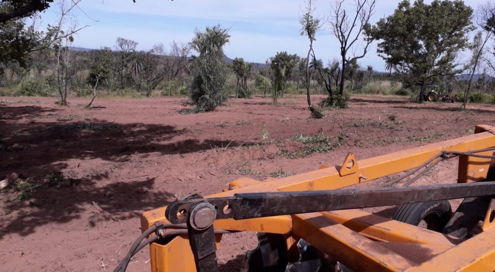 WhatsApp Image 2021-05-24 at 07.58.36 (2)