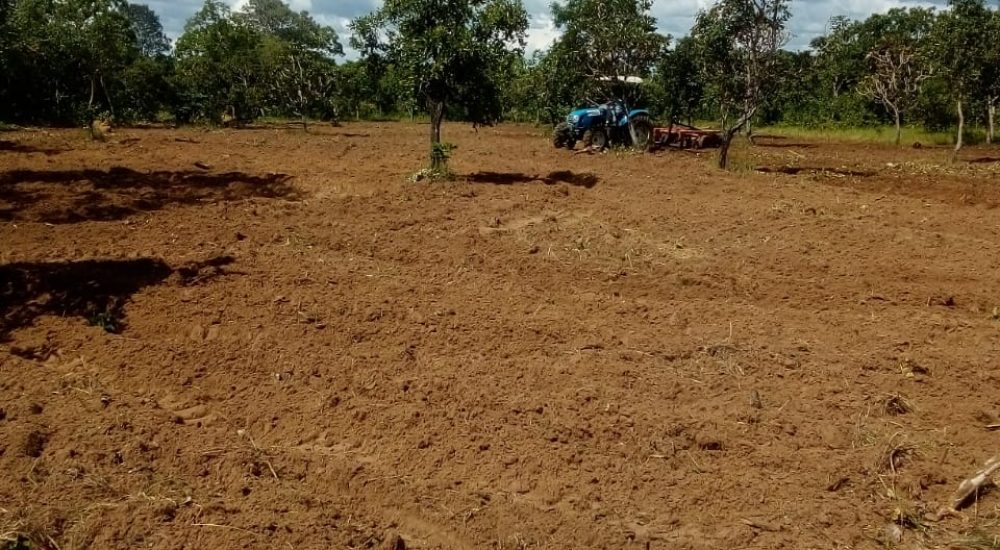 WhatsApp Image 2023-02-13 at 10.50.11